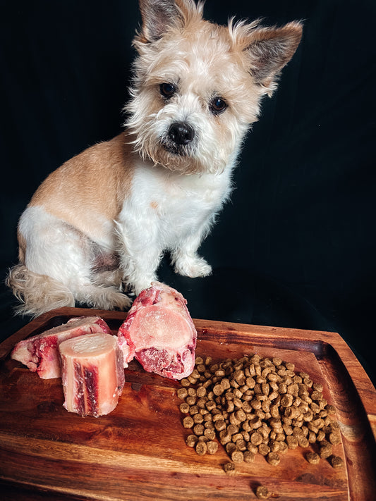 Dog Bones